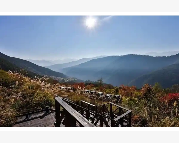 儿童干痒：脾胃调理的中医秘籍